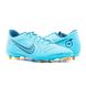 Фотография Бутсы мужские Nike Vapor 14 Club Fg/Mg (DJ2903-484) 1 из 3 | SPORTKINGDOM