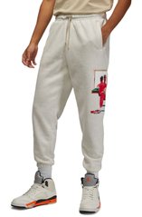 Брюки мужские Jordan Artist Series By Jacob Rochester Fleece Pants (DV1601-141), L, WHS, 1-2 дня