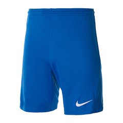 Шорты мужские Nike M Nk Dry Park Iii Short Nb K (BV6855-463), L, WHS, 20% - 30%, 1-2 дня