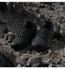 Фотография Ботинки мужские Adidas Terrex Skychaser Ax5 Mid Gtx (JQ2207) 9 из 11 | SPORTKINGDOM