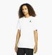 Фотография Футболка мужская Jordan Jumpman (DC7485-100) 1 из 5 | SPORTKINGDOM