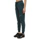 Фотография Брюки женские Nike W Nsw Club Flc Shine Mr Pant (FB8760-328) 3 из 3 | SPORTKINGDOM