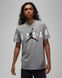 Фотография Футболка мужская Jordan Air Stretch T-Shirt (DV1445-091) 1 из 4 | SPORTKINGDOM