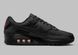 Фотографія Кросівки чоловічі Nike Air Max 90 (DZ4504-003) 3 з 8 | SPORTKINGDOM