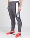Фотография Брюки мужские Nike Air Pant Pk (CJ4838-021) 3 из 5 | SPORTKINGDOM
