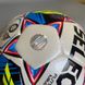 Фотографія М'яч Select Futsal Mimas Fifa Basic (105343) 3 з 3 | SPORTKINGDOM