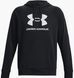 Фотографія Кофта чоловіча Under Armour Rival Fleece Logo Hd (1379758-001) 1 з 3 | SPORTKINGDOM