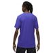 Фотография Футболка мужская Jordan Essentials T-Shirt (DV1429-432) 3 из 3 | SPORTKINGDOM