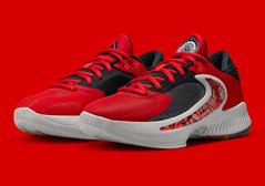 Кросівки чоловічі Nike Zoom Freak 4 Safari (DJ6149-600), 47, WHS, 10% - 20%, 1-2 дні