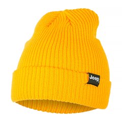 Шапка Jeep Ribbed Tricot Hat With Cuff J22w (O102600-Y247), One Size, WHS, 1-2 дня