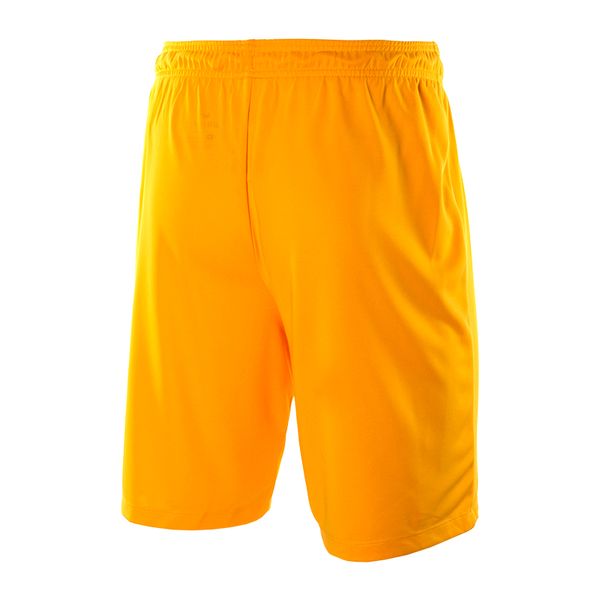 Шорты мужские Nike Park Ii Knit Short Nb (725887-739), L, WHS, 1-2 дня