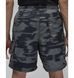 Фотографія Шорти чоловічі Jordan Printed (FV7237-068) 6 з 8 | SPORTKINGDOM