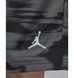 Фотографія Шорти чоловічі Jordan Printed (FV7237-068) 7 з 8 | SPORTKINGDOM