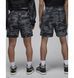Фотографія Шорти чоловічі Jordan Printed (FV7237-068) 2 з 8 | SPORTKINGDOM