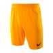 Фотография Шорты мужские Nike Park Ii Knit Short Nb (725887-739) 1 из 3 | SPORTKINGDOM