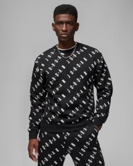Кофта мужские Jordan Graphic Fleece Crew-Neck Sweatshirt (DX9173-010), L, OFC, 20% - 30%, 1-2 дня