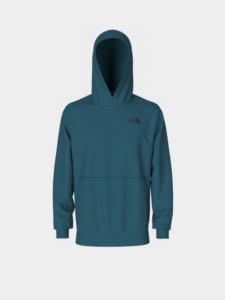 Кофта чоловічі The North Face D2 Graphic Hoodi (NF0A83FOEFS1), L, WHS, 1-2 дні