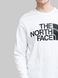 Фотографія Кофта чоловічі The North Face Standard Collar (NF0A5585FN41) 3 з 6 | SPORTKINGDOM