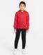 Фотография Спортивный костюм детской Jordan Essentials Fleece Set Little Kids' Set (85A744-023) 1 из 6 | SPORTKINGDOM