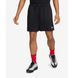 Фотографія Шорти чоловічі Nike M Club Flow Mesh (FN3514-010) 2 з 4 | SPORTKINGDOM