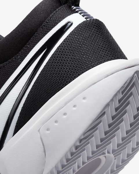 Кросівки чоловічі Nike M Zoom Court Pro Cly (DV3277-001), 41, WHS, 1-2 дні
