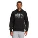 Фотография Кофта мужские The North Face Bear Pullover Negro Hombre (NF0A7UNMJK3) 1 из 2 | SPORTKINGDOM