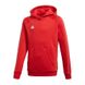 Фотография Свитер детской Adidas Core 18 (CV3431) 1 из 2 | SPORTKINGDOM