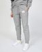 Фотография Брюки женские Jordan Brand Flight Fleece Pants (CV7795-063) 1 из 5 | SPORTKINGDOM