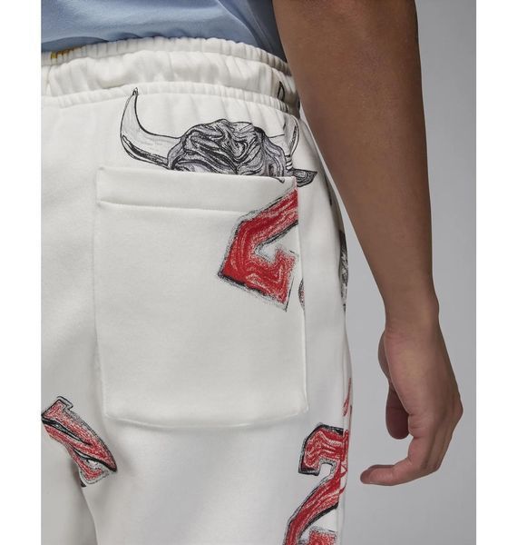 Брюки мужские Jordan M Ess Aop Flc Pant (FN4547-133), S, OFC, 30% - 40%, 1-2 дня