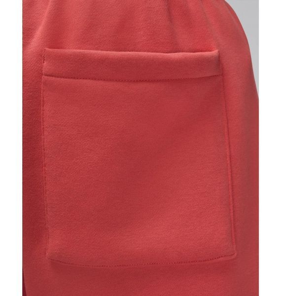 Брюки мужские Jordan Essentials (FD7345-604), L, OFC, 40% - 50%, 1-2 дня