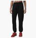 Фотографія Брюки жіночі Jordan Fleece Pants Black Black (IR0344-010) 1 з 5 | SPORTKINGDOM