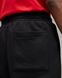 Фотографія Брюки чоловічі Jordan Essentials Men's Fleece Trousers (FJ7779-010) 5 з 5 | SPORTKINGDOM