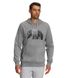 Фотографія Кофта чоловічі The North Face Medium Grey (NF0A7UNMGVD) 1 з 2 | SPORTKINGDOM