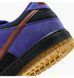 Фотографія Кросівки чоловічі Nike Sb Dunk Low Pro Violet/Black (HQ1625-500) 8 з 9 | SPORTKINGDOM
