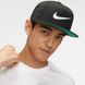 Фотография Кепка Nike Sportswear Pro Swoosh (DH0393-010) 3 из 3 | SPORTKINGDOM