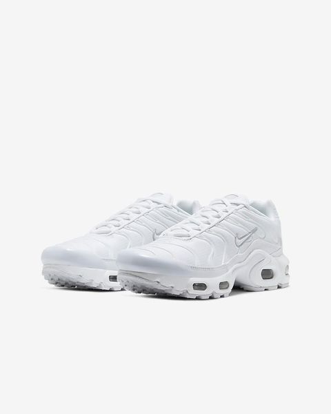 Кросівки жіночі Nike Air Max Plus (Gs) (CW7044-100), 40, WHS, 10% - 20%, 1-2 дні