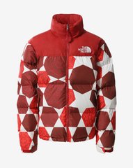Куртка мужская The North Face 1996 Retro Nuptse Ic Geo Print Jacket (NF0A5IX43H2), L, WHS, 10% - 20%, 1-2 дня