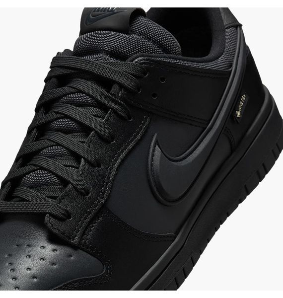 Кросівки чоловічі Nike Dunk Low Gore-Tex (HQ2053-001), 41, WHS, 1-2 дні
