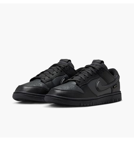Кросівки чоловічі Nike Dunk Low Gore-Tex (HQ2053-001), 41, WHS, 1-2 дні