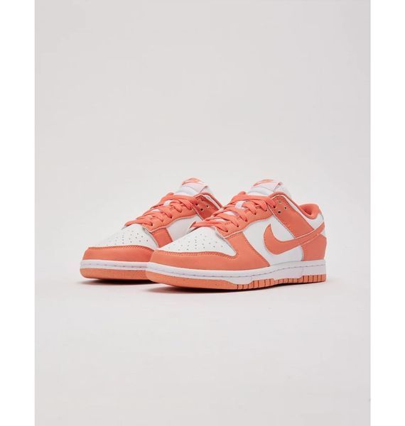 Кросівки жіночі Nike Dunk Low Next Nature (DD1873-109), 36.5, OFC, > 50%, 1-2 дні