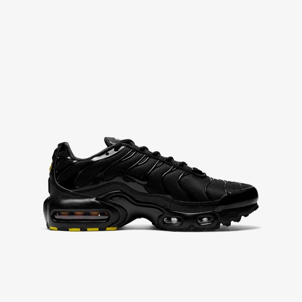 Кроссовки женские Nike Air Max Plus (CD0609-001), 40, WHS, 10% - 20%, 1-2 дня