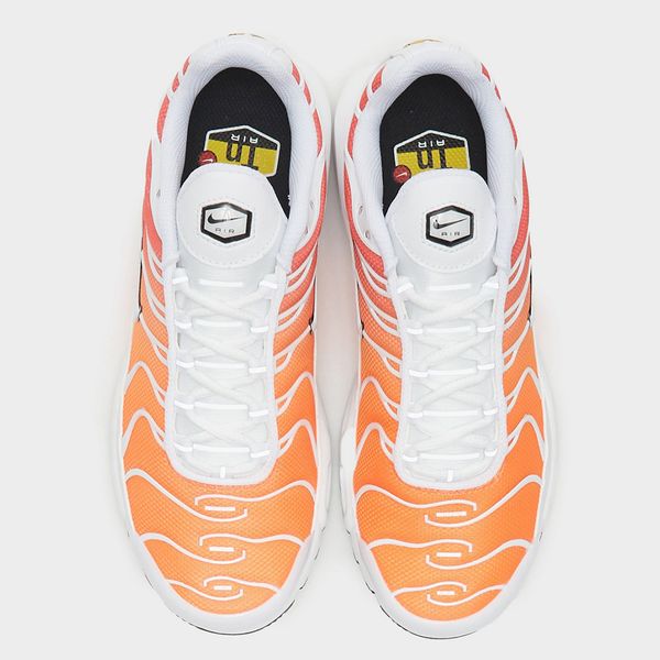 Кроссовки женские Nike Air Max Plus (DZ3670-101), 38, WHS, 10% - 20%, 1-2 дня