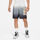 Фотографія Шорти чоловічі Nike Jordan Sport Dna (CZ4849-010) 5 з 6 | SPORTKINGDOM