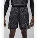 Фотографія Шорти чоловічі Jordan Sport Men's Black Diamond (FN5862-010) 1 з 2 | SPORTKINGDOM